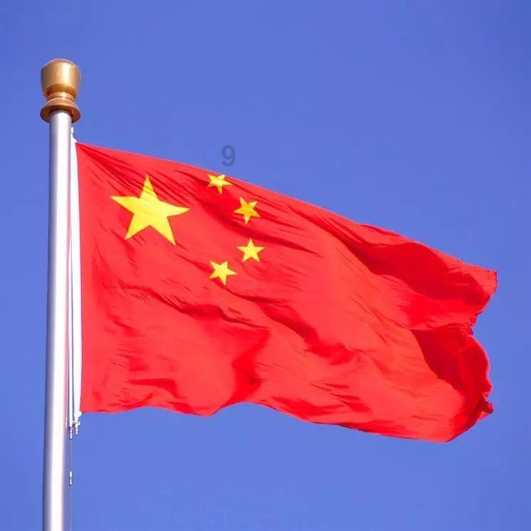 植物大战僵尸14