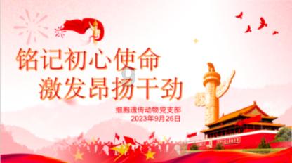 逃出茂密的丛林
