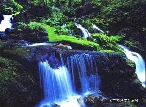 救援美丽小天使