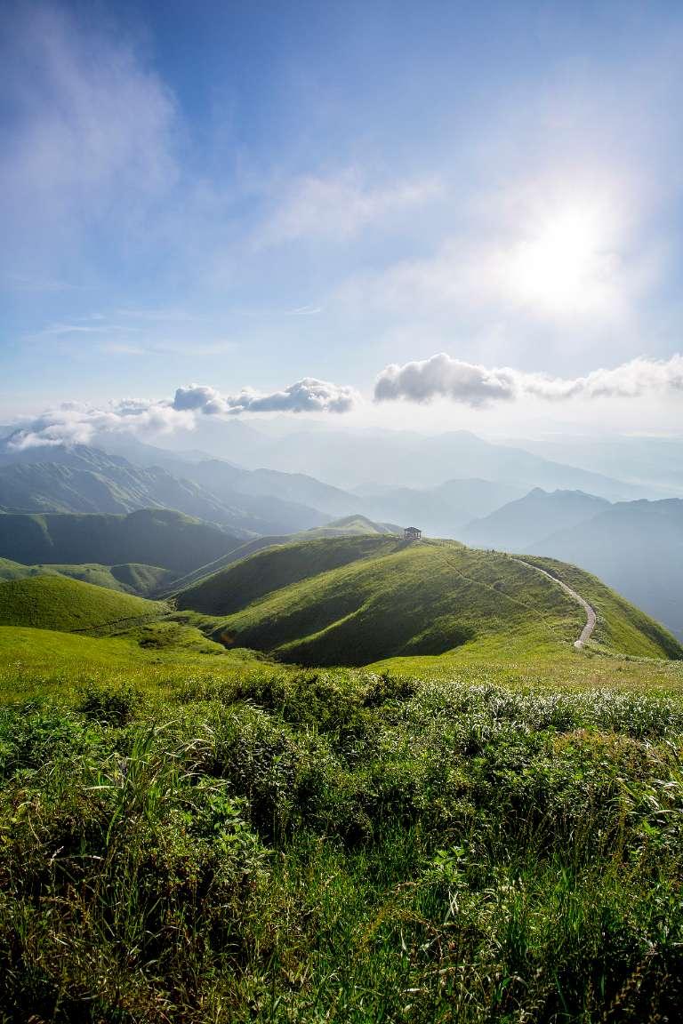 格斗巅峰大作战
