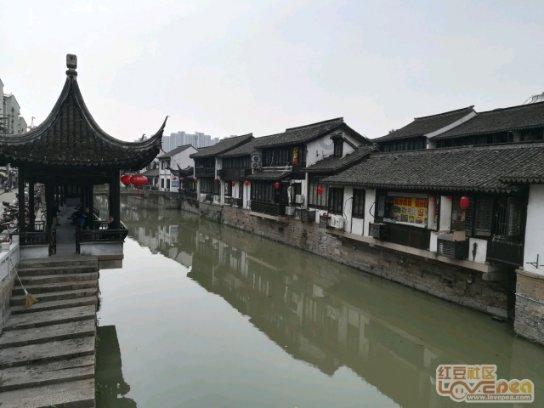 杀出重围人类分裂