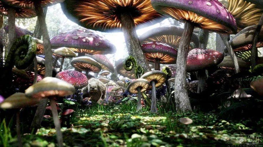 逃离未知丛林